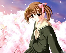 Фотография Maria-sama ga Miteru