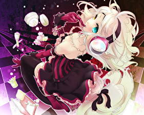 Фотография Kitsune