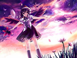 Обои Touhou Collection Аниме