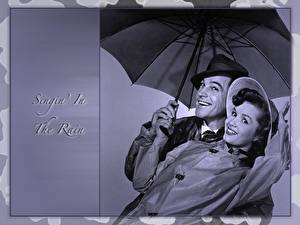 Фотография Зонтик Singin in the Rain Фильмы