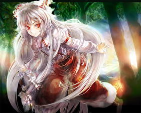 Фото Touhou Collection