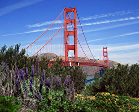 Фотография Мост США Сан-Франциско Калифорния Золотые ворота город