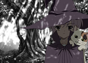 Фотография The Melancholy of Haruhi Suzumiya