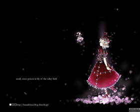 Картинки Touhou Collection