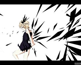 Картинка Touhou Collection Аниме