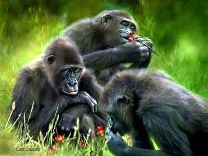 Фотография Обезьяны