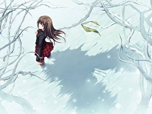 Обои для рабочего стола Innocent Grey Аниме