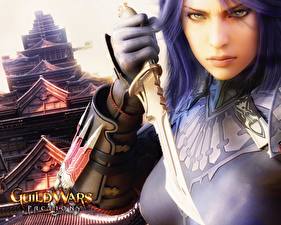 Картинки Guild Wars Guild Wars Factions
