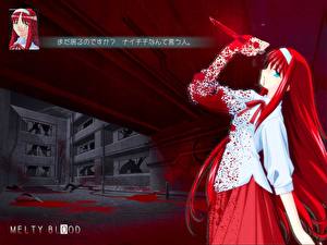 Фото Shingetsutan Tsukihime