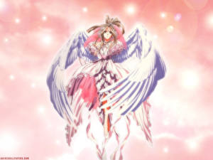 Картинки Ah! My Goddess