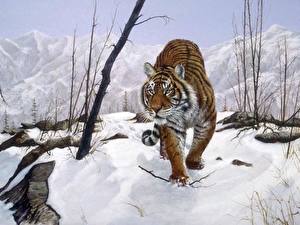 Фотография Большие кошки Тигр Рисованные Животные