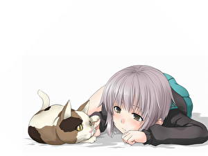 Обои The Melancholy of Haruhi Suzumiya