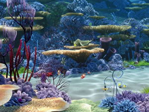 Фотографии Подводный мир Кораллы животное