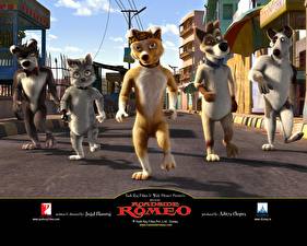 Обои Disney Уличный Ромео Disney