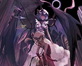 Обои Touhou Collection Аниме