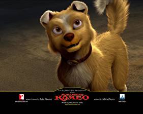 Фотография Дисней Уличный Ромео Disney мультик