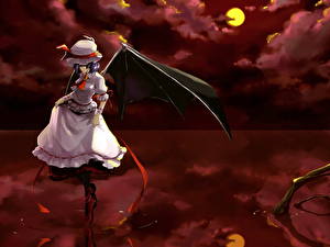 Картинка Touhou Collection