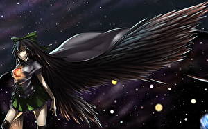 Обои Touhou Collection