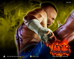 Фотография Tekken компьютерная игра