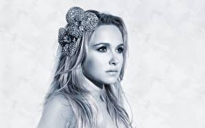 Обои Hayden Panettiere