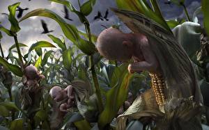 Фотография Кукуруза Фэнтези Дети