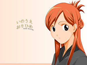 Фото Bleach: Memories of Nobody