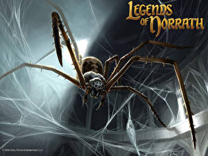 Картинки Legend of Norrath Игры