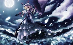 Обои Touhou Collection