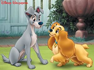 Фото Disney Леди и бродяга