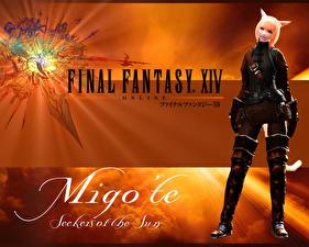 Фотографии Final Fantasy Final Fantasy XIV компьютерная игра