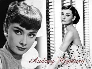 Фотография Audrey Hepburn