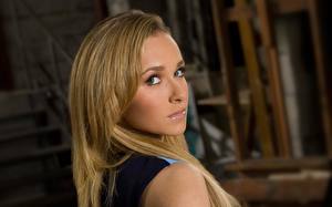 Картинки Hayden Panettiere Знаменитости