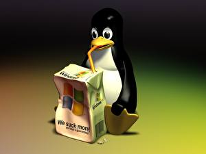 Фотографии Linux Пингвины Компьютеры