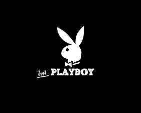 Картинки Playboy