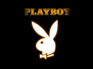 Картинка Playboy