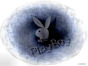 Картинки Playboy