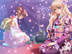 Фотографии Touka Gettan