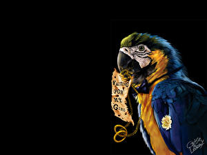 Картинка Cris de Lara Фэнтези