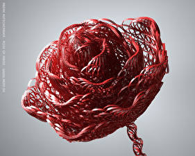 Фотография Andre Kutscherauer