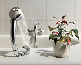 Картинка Andre Kutscherauer