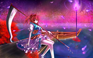 Картинка Touhou Collection