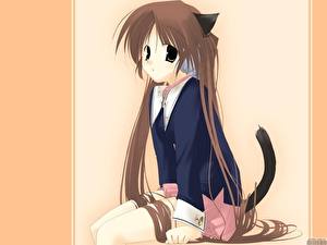 Обои Девочки Кошки Аниме