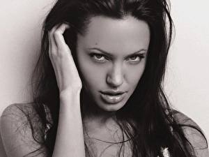 Картинки Angelina Jolie Знаменитости
