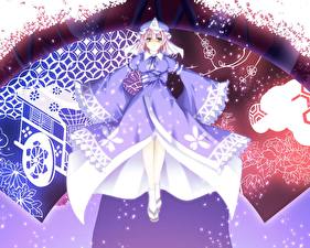 Фотографии Touhou Collection