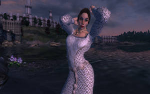 Фото The Elder Scrolls The Elder Scrolls IV: Oblivion