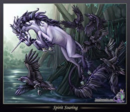 Фото Волшебные животные Единороги Фэнтези