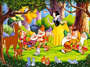 Фотография Disney Белоснежка и семь гномов Мультфильмы