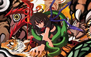 Картинки Touhou Collection