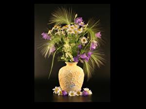 Фотографии Букеты Икебана цветок