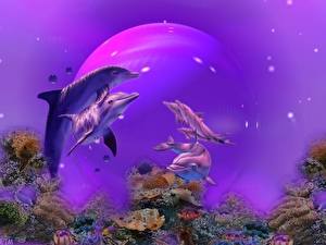 Фотографии Дельфины Животные